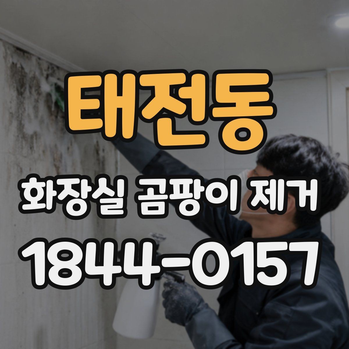 태전동 화장실 곰팡이 제거 청소만으로 어려운 손상 구간 살피기