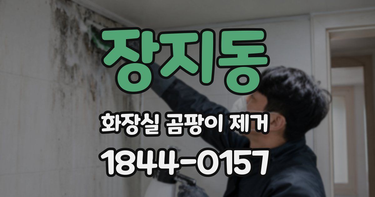 장지동 화장실 곰팡이 제거