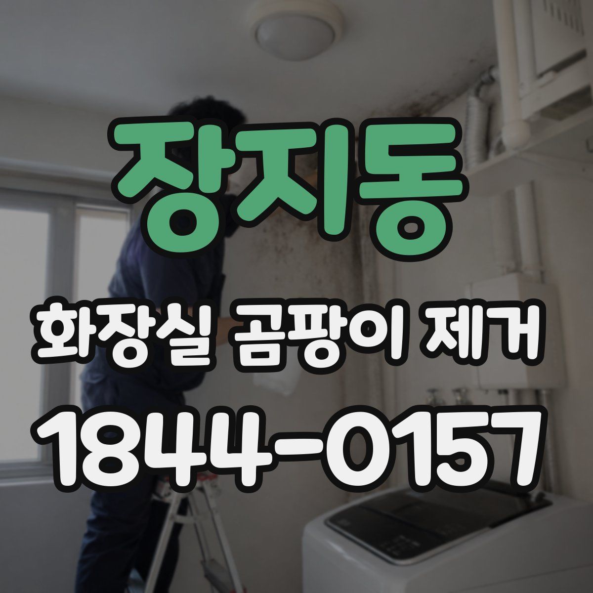 장지동 화장실 곰팡이 제거