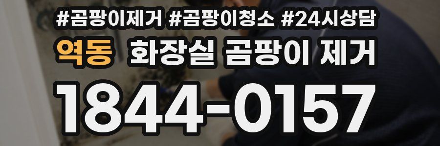 역동 화장실 곰팡이 제거