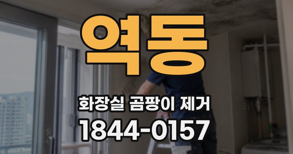 역동 화장실 곰팡이 제거
