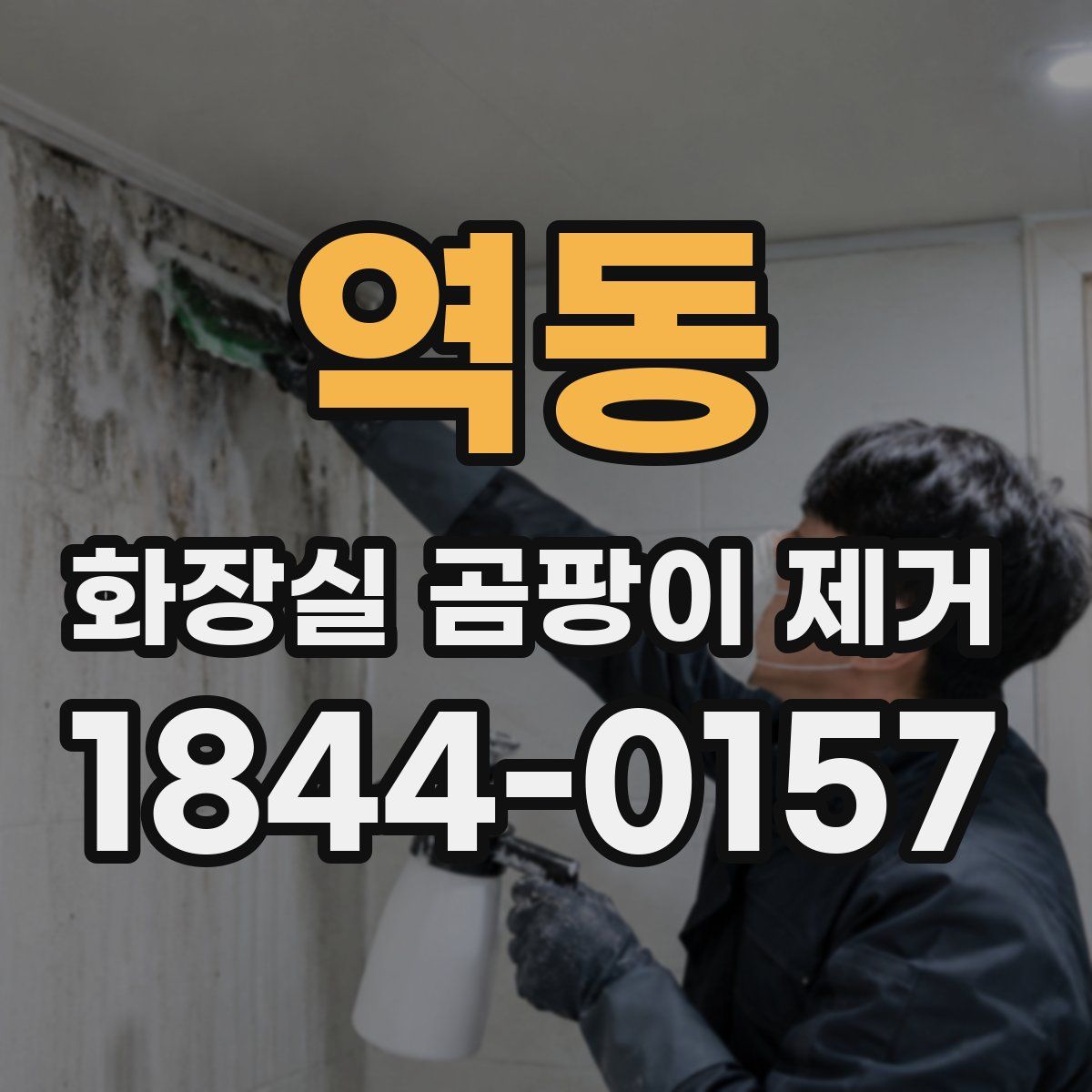 역동 화장실 곰팡이 제거