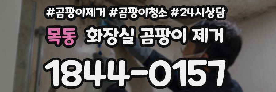 목동 화장실 곰팡이 제거