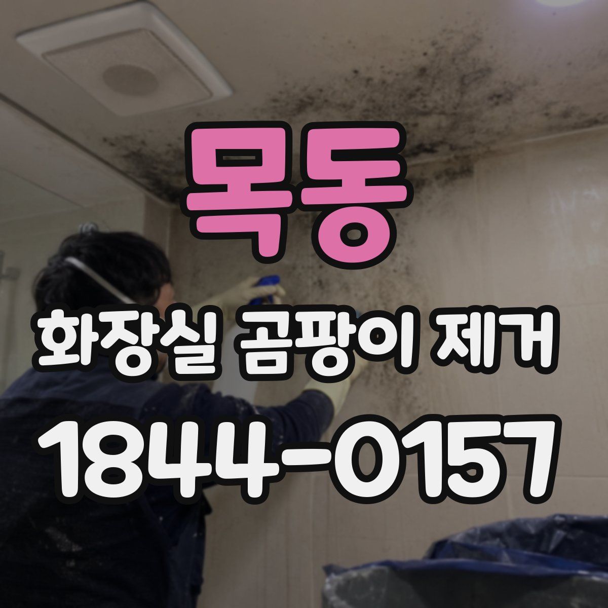 목동 화장실 곰팡이 제거