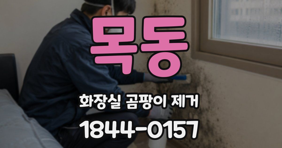 목동 화장실 곰팡이 제거
