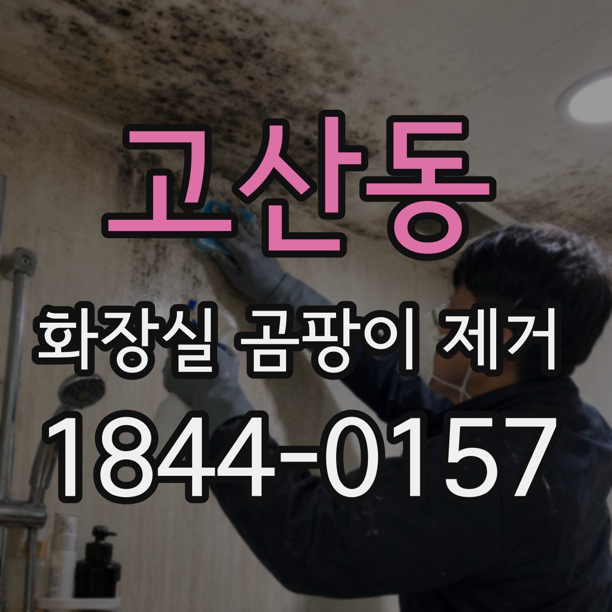 고산동 화장실 곰팡이 제거