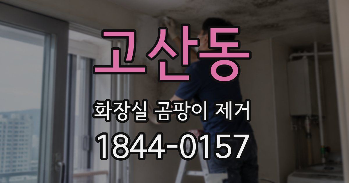 고산동 화장실 곰팡이 제거