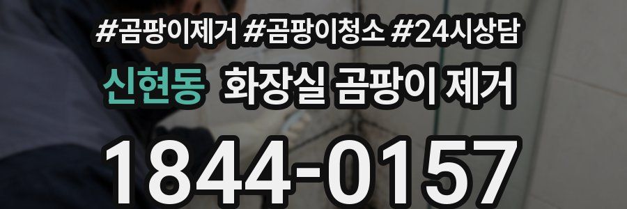신현동 화장실 곰팡이 제거