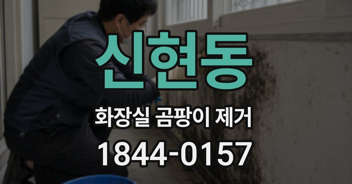 신현동 화장실 곰팡이 제거