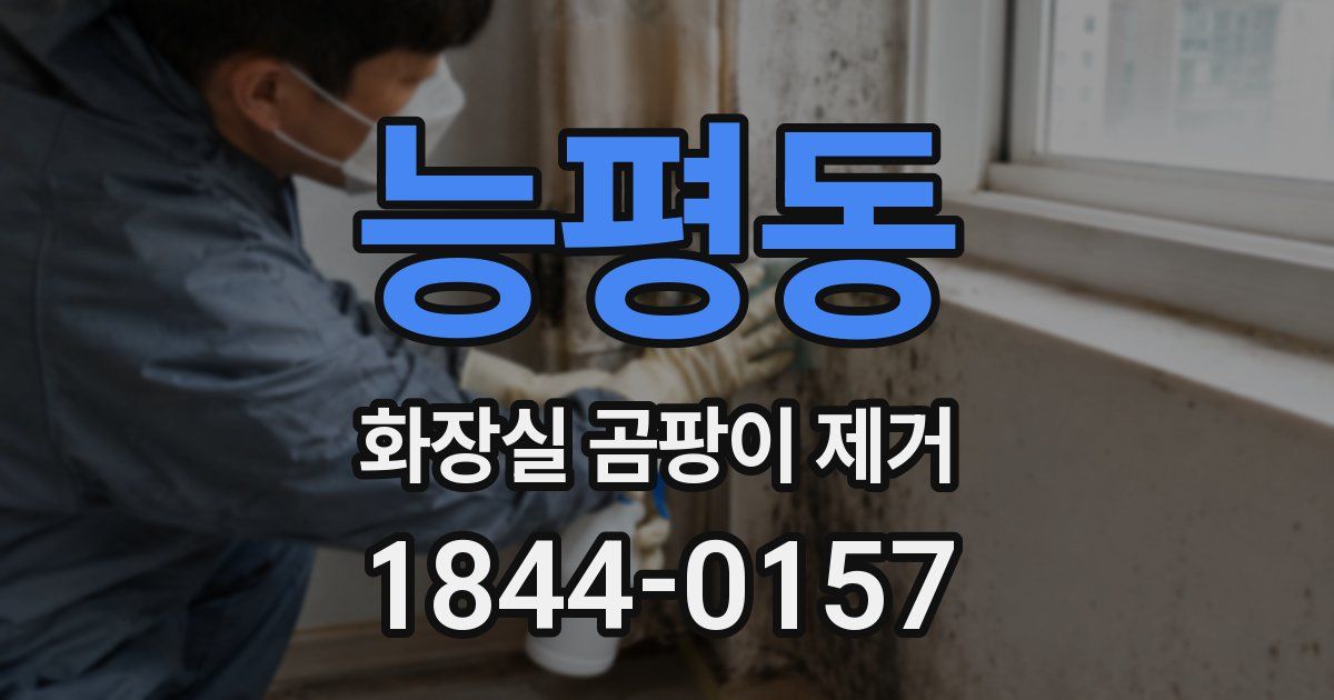 능평동 화장실 곰팡이 제거