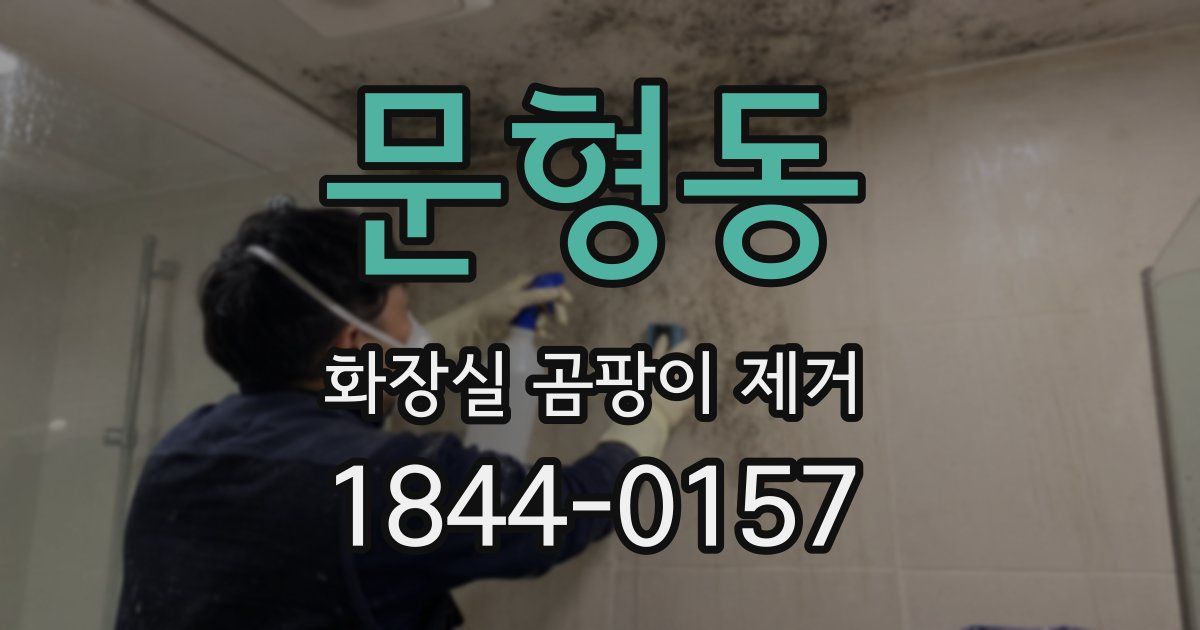 문형동 화장실 곰팡이 제거