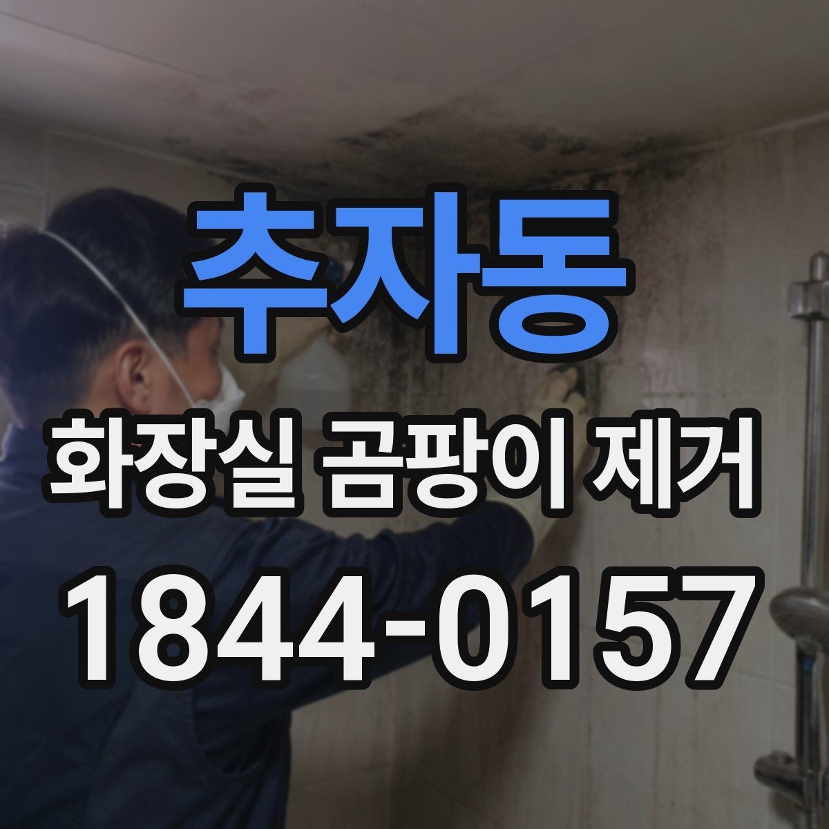 추자동 화장실 곰팡이 제거 청소보다 먼저 누수와 습기부터 확인하기