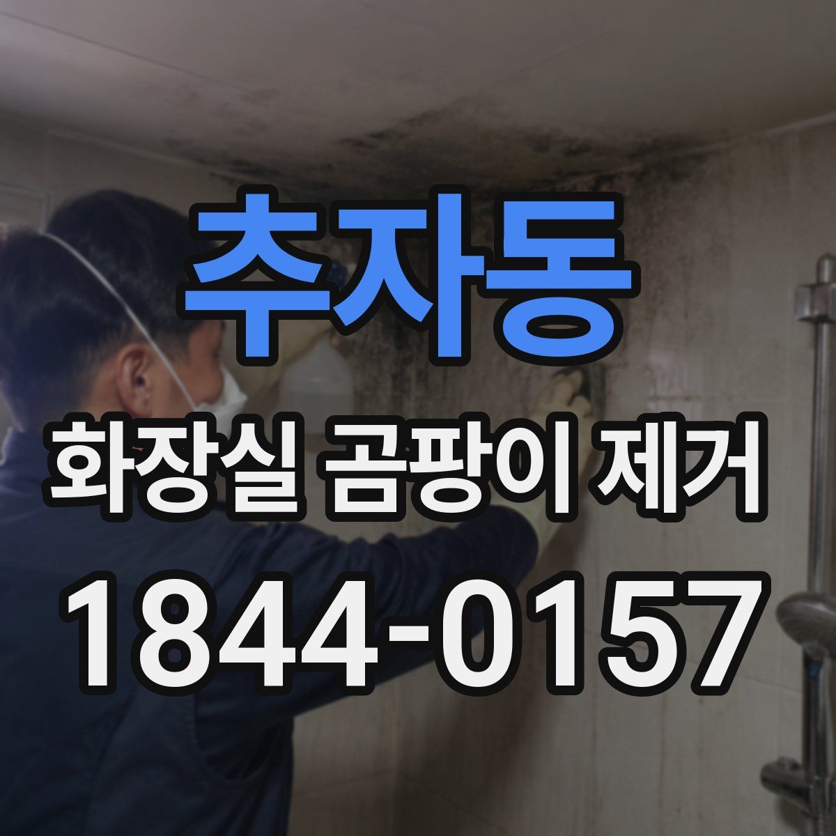 추자동 화장실 곰팡이 제거