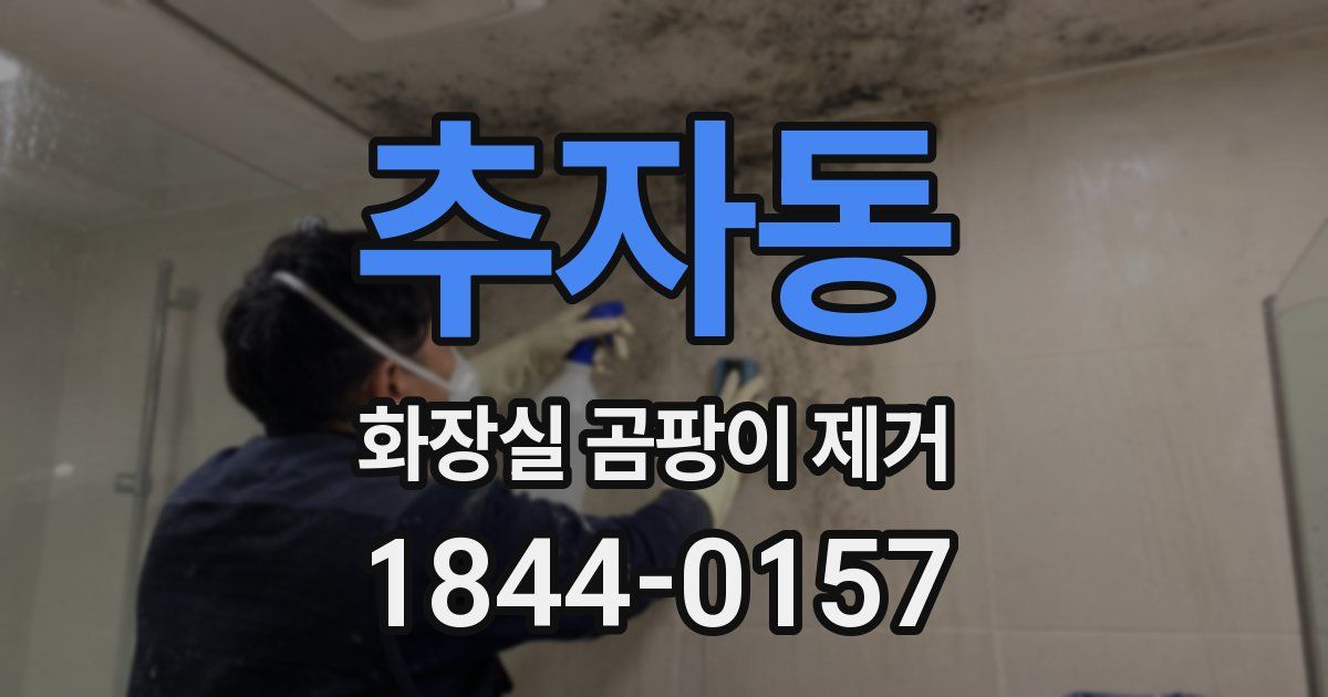 추자동 화장실 곰팡이 제거
