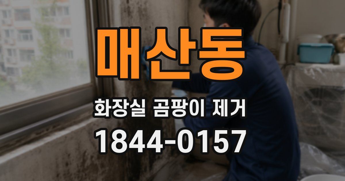 매산동 화장실 곰팡이 제거