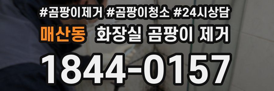 매산동 화장실 곰팡이 제거