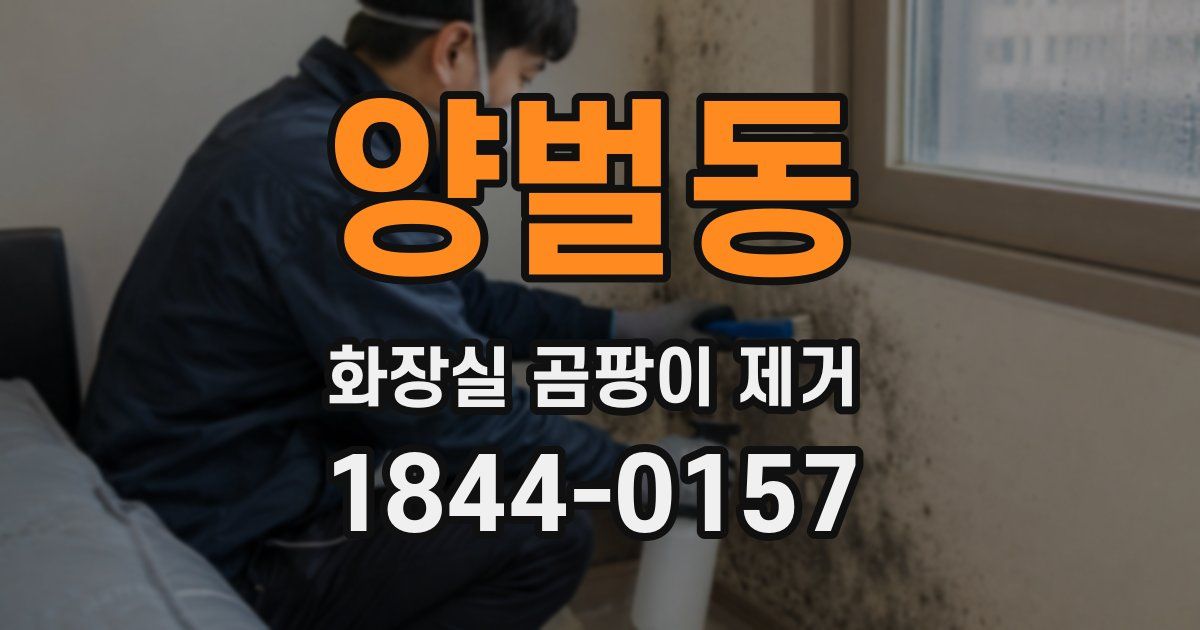 양벌동 화장실 곰팡이 제거