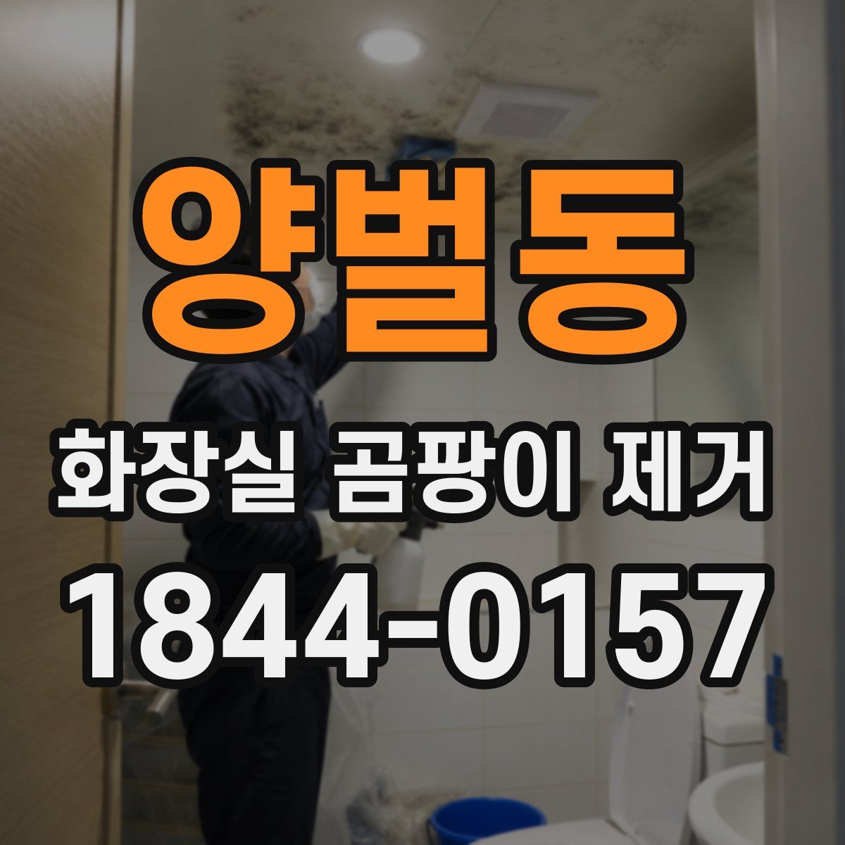 양벌동 화장실 곰팡이 제거