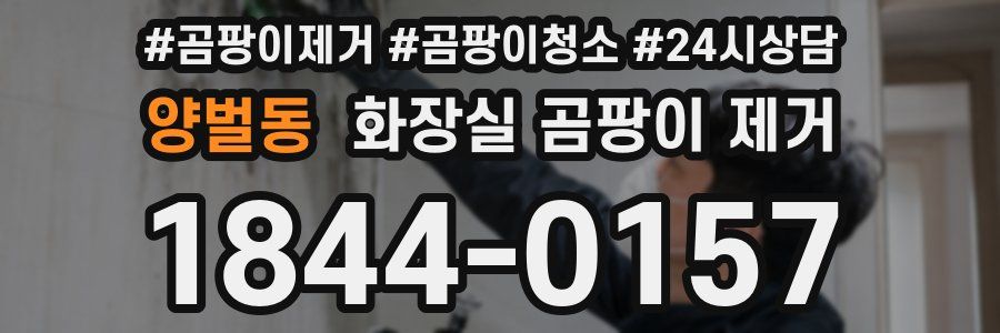 양벌동 화장실 곰팡이 제거