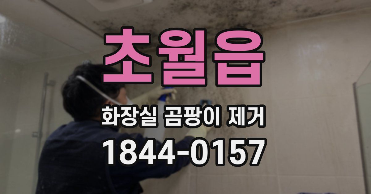 초월읍 화장실 곰팡이 제거