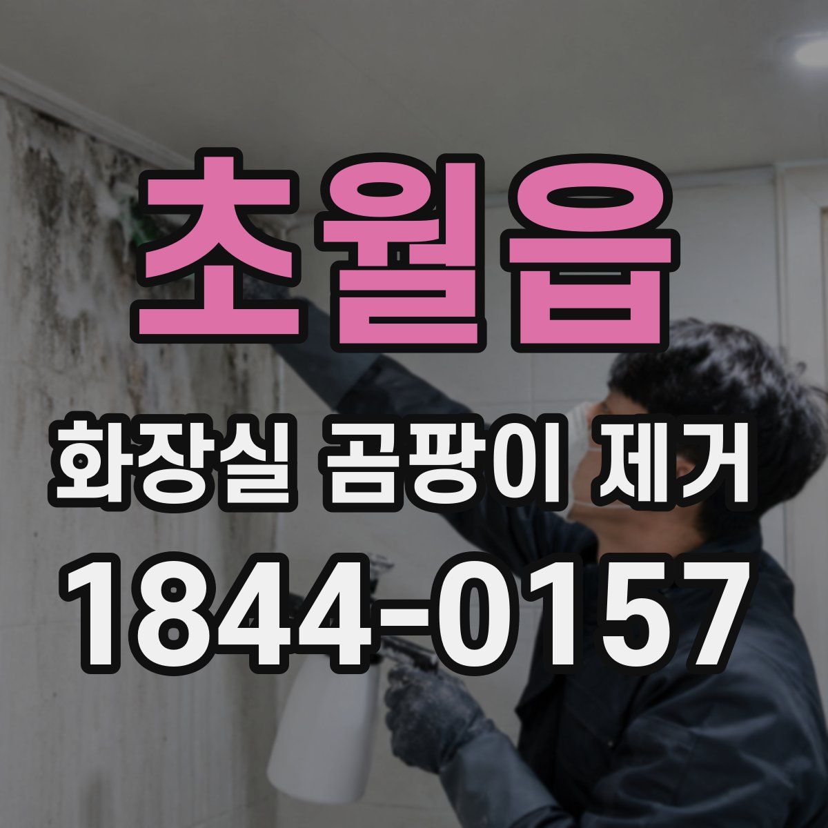 초월읍 화장실 곰팡이 제거
