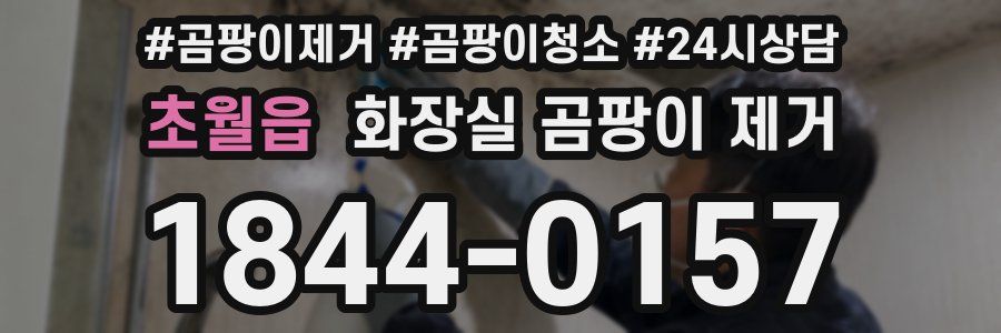 초월읍 화장실 곰팡이 제거