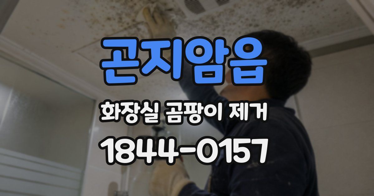 곤지암읍 화장실 곰팡이 제거