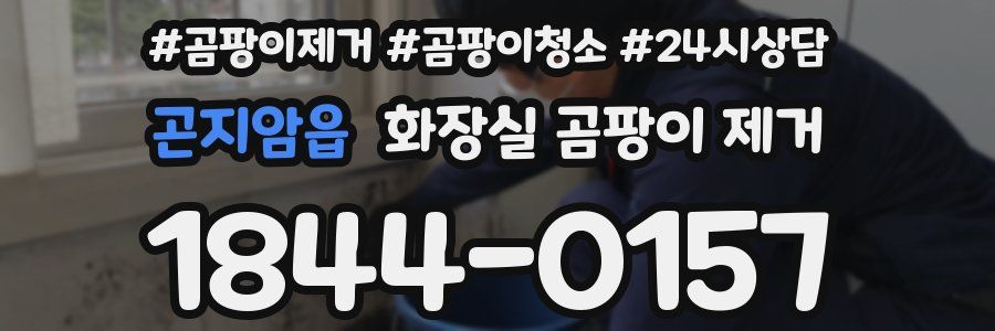 곤지암읍 화장실 곰팡이 제거