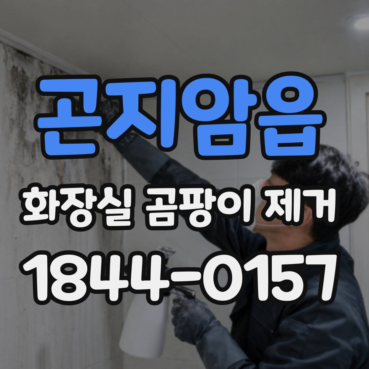 곤지암읍 화장실 곰팡이 제거