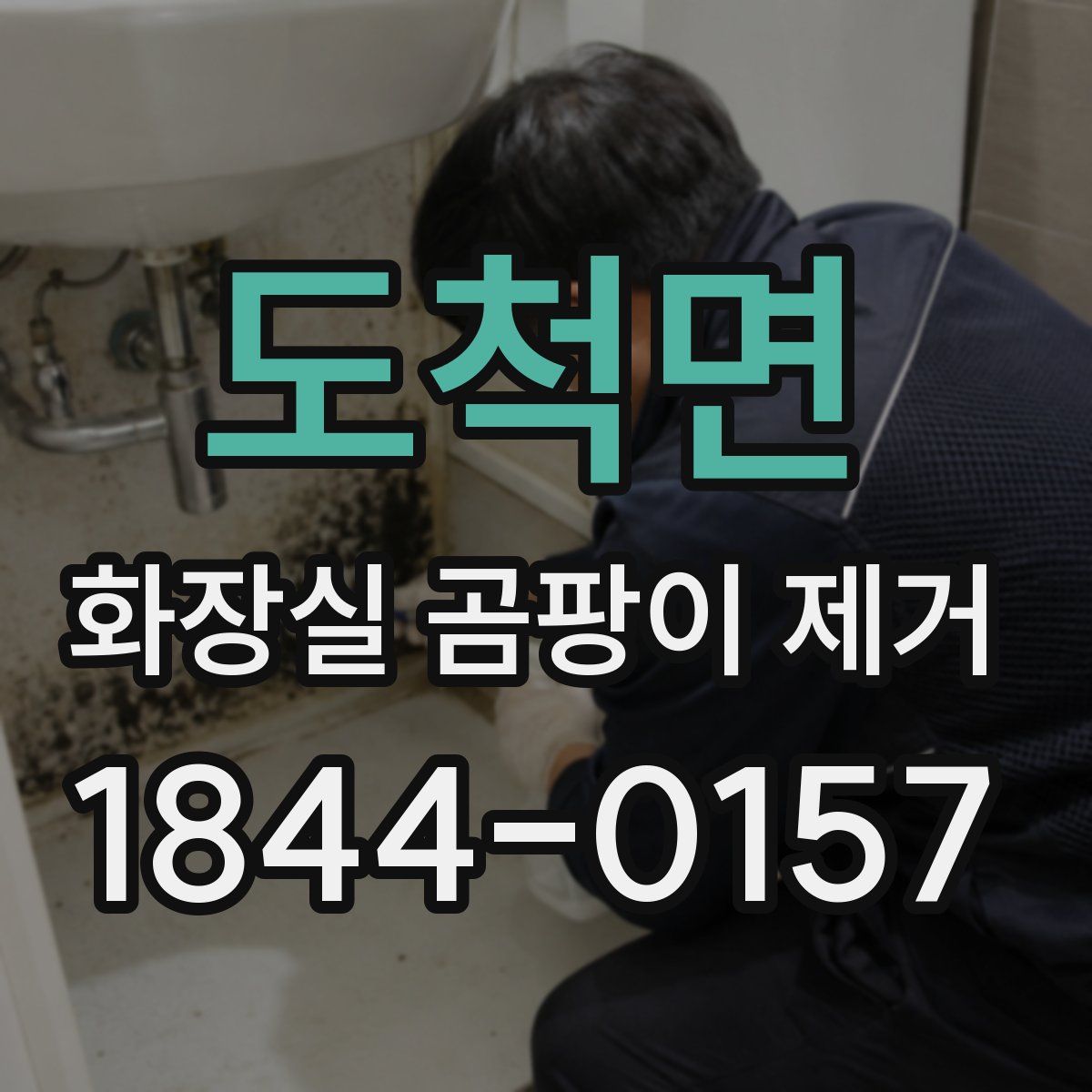 도척면 화장실 곰팡이 제거