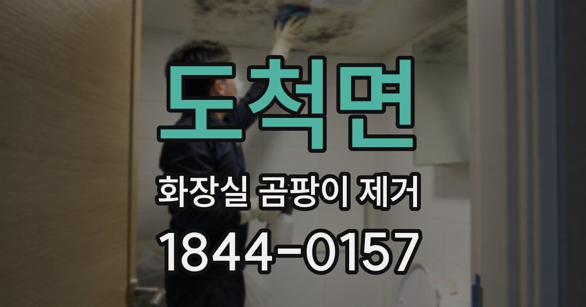 도척면 화장실 곰팡이 제거