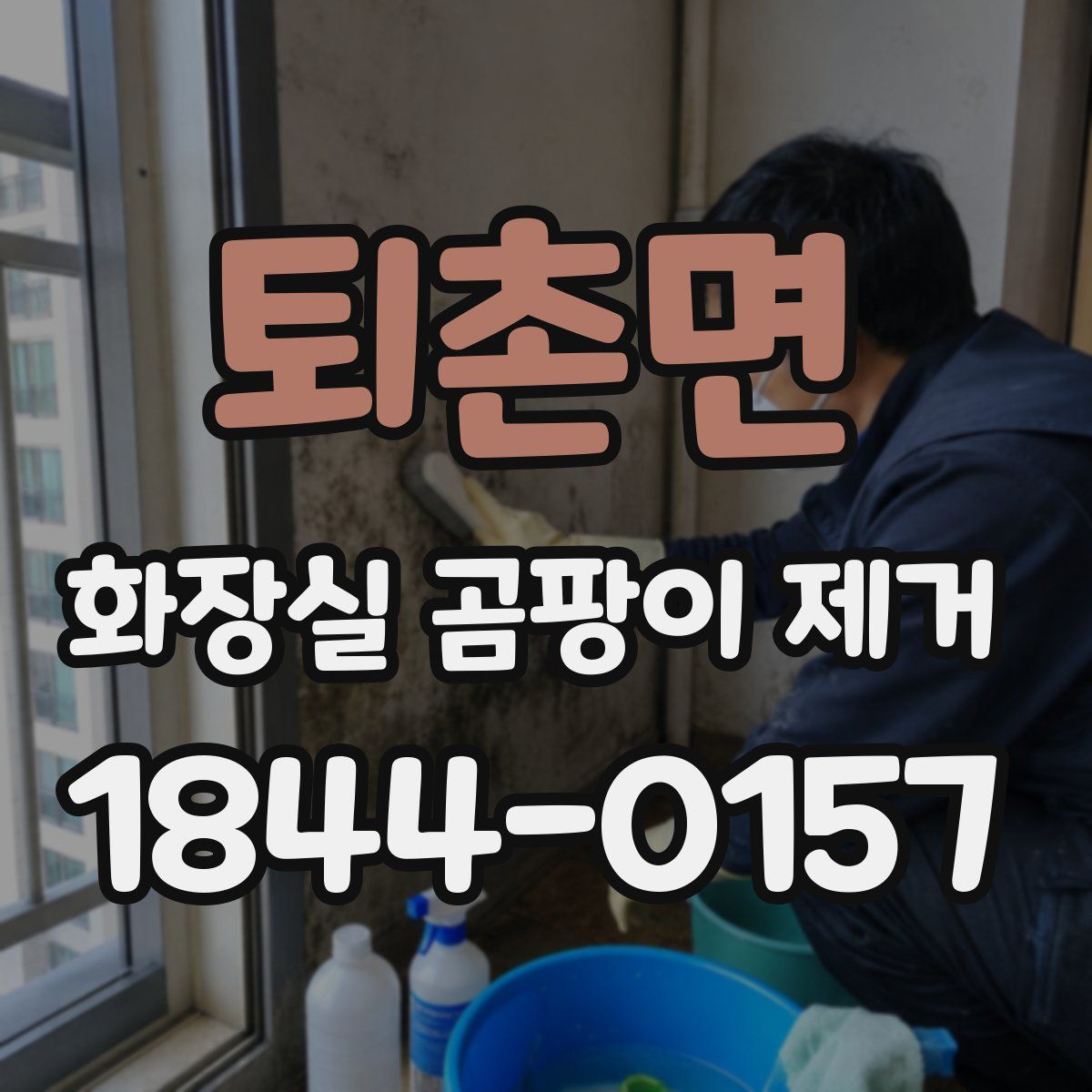 퇴촌면 화장실 곰팡이 제거