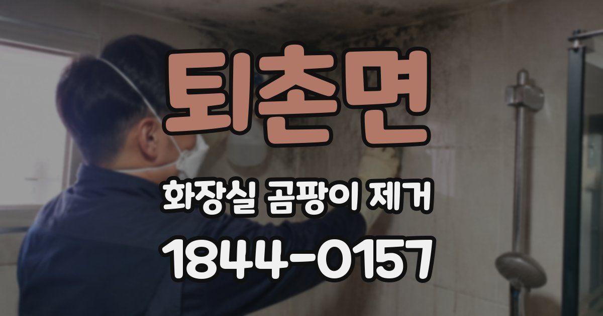 퇴촌면 화장실 곰팡이 제거