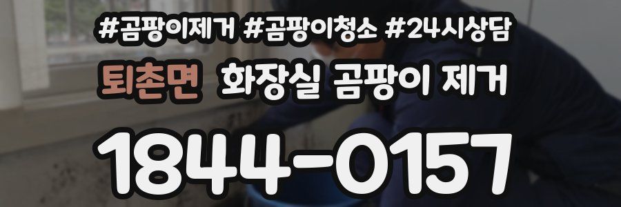 퇴촌면 화장실 곰팡이 제거
