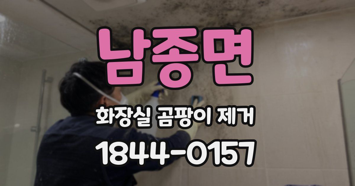 남종면 화장실 곰팡이 제거