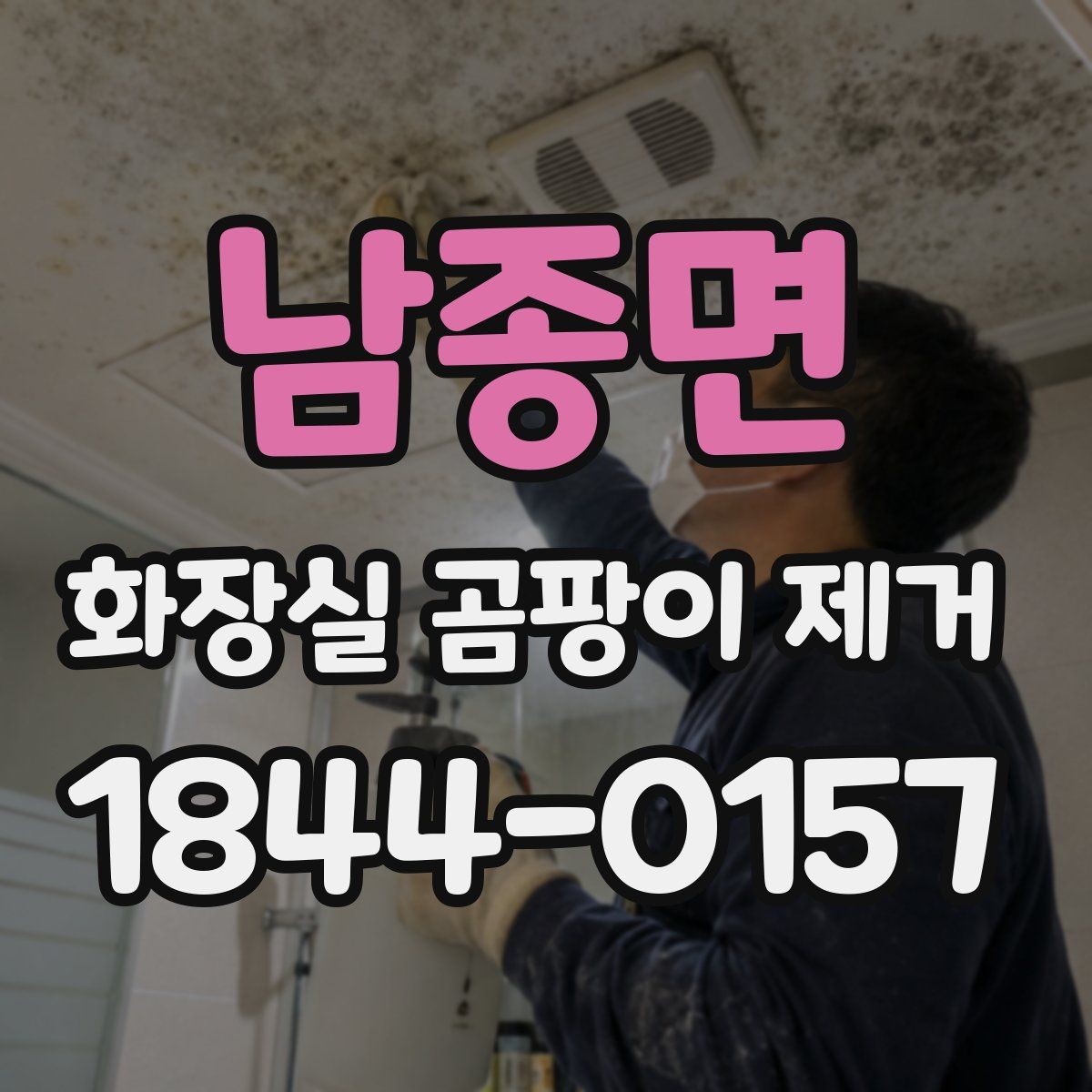 남종면 화장실 곰팡이 제거