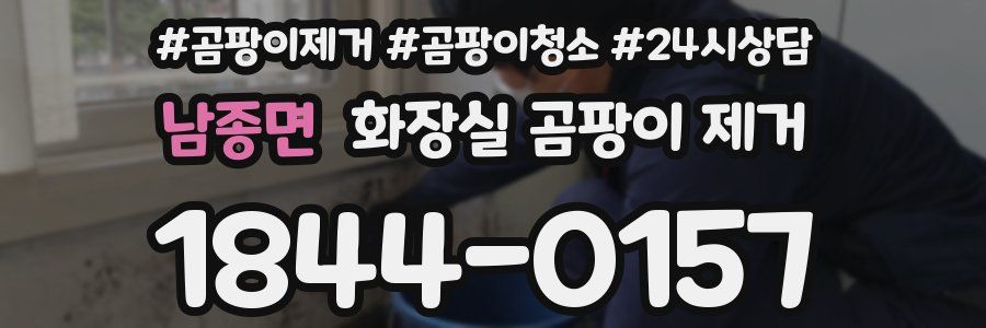 남종면 화장실 곰팡이 제거