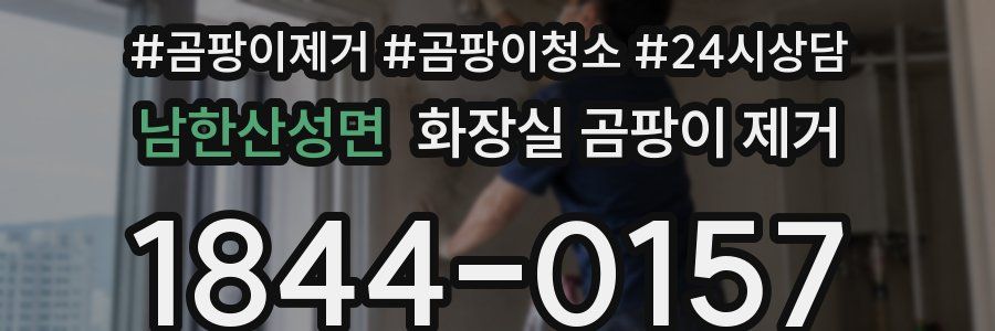 남한산성면 화장실 곰팡이 제거