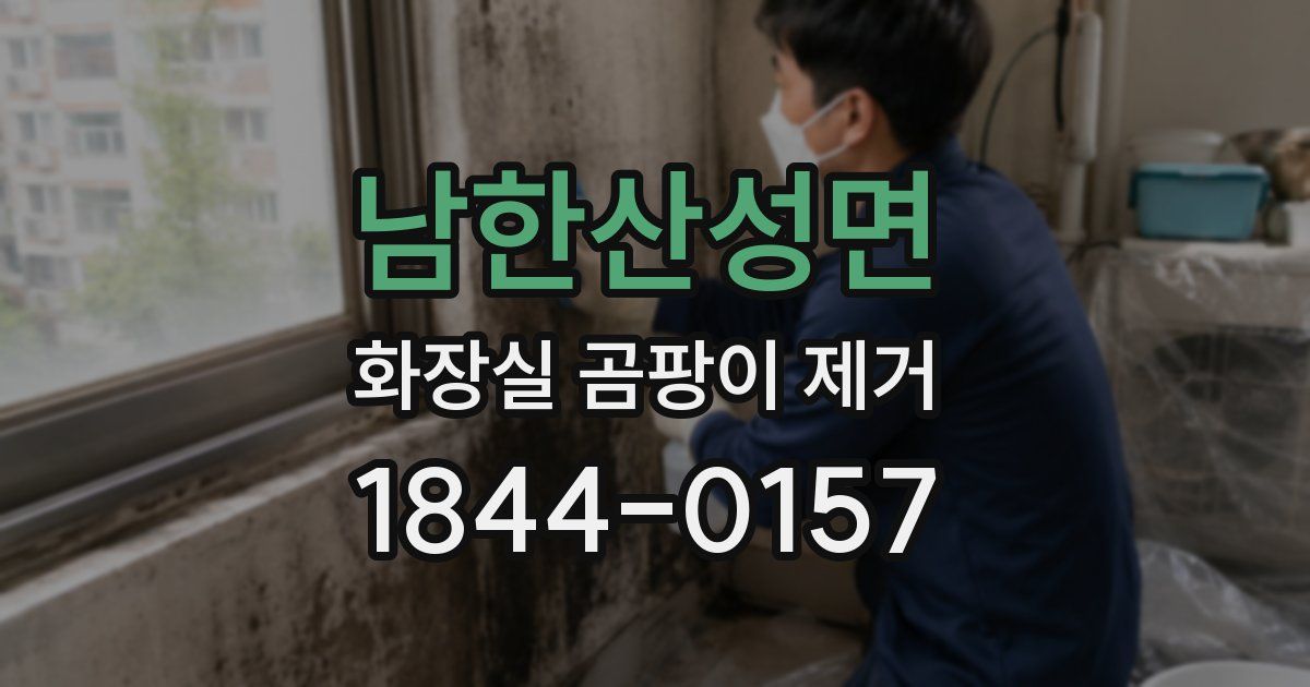 남한산성면 화장실 곰팡이 제거