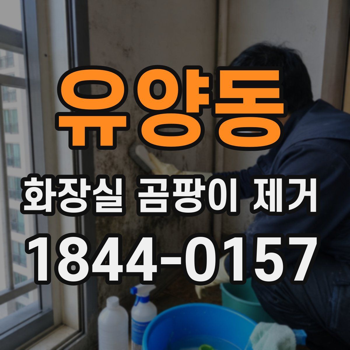 유양동 화장실 곰팡이 제거