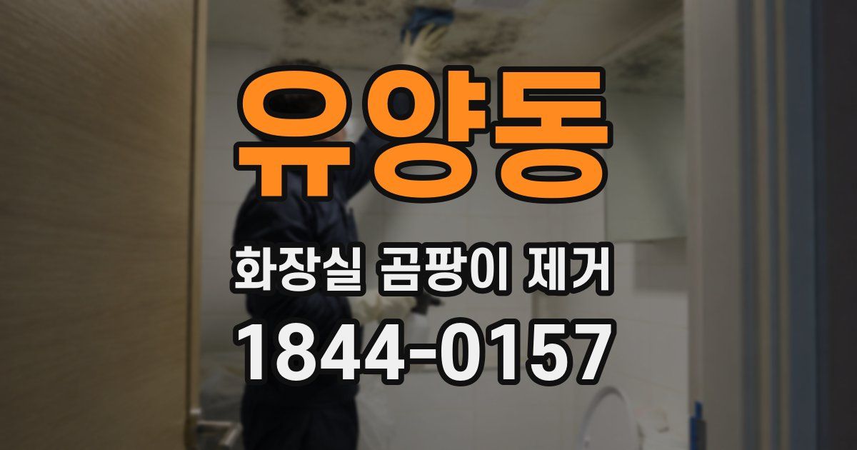 유양동 화장실 곰팡이 제거
