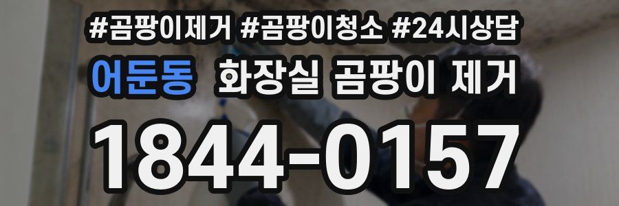 어둔동 화장실 곰팡이 제거