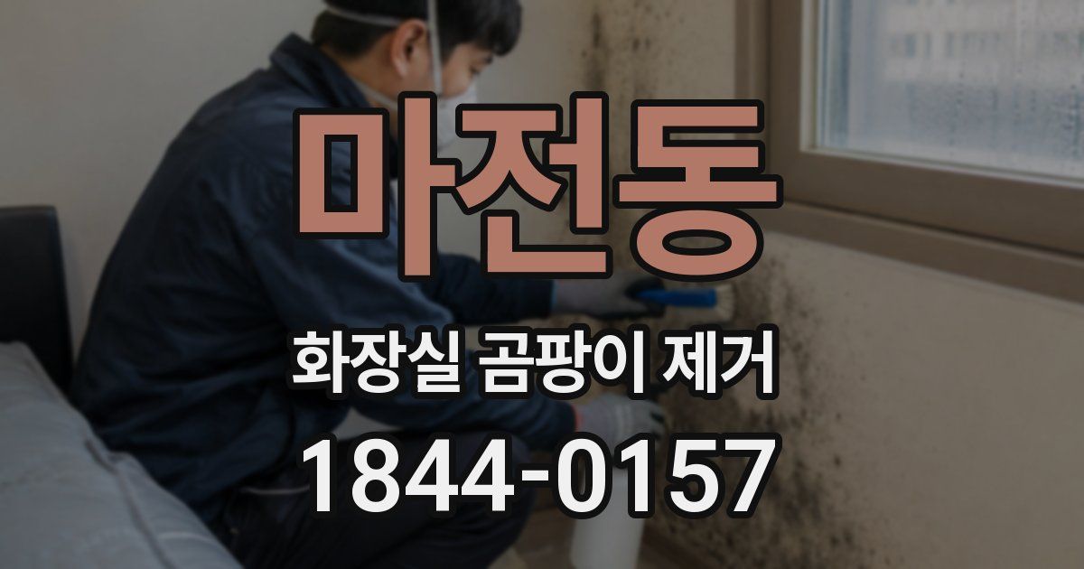 마전동 화장실 곰팡이 제거