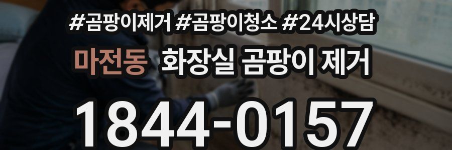 마전동 화장실 곰팡이 제거