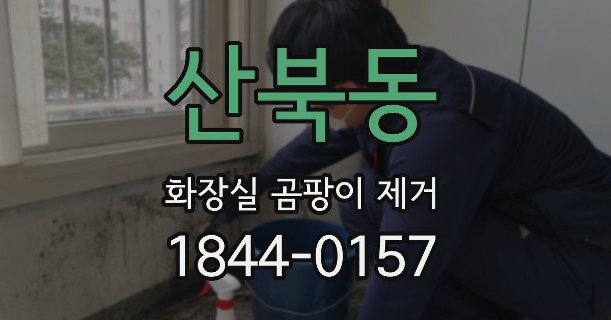 산북동 화장실 곰팡이 제거