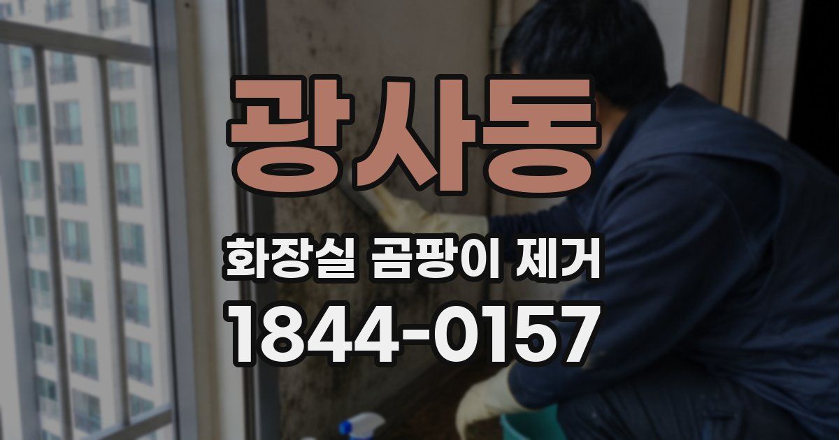 광사동 화장실 곰팡이 제거