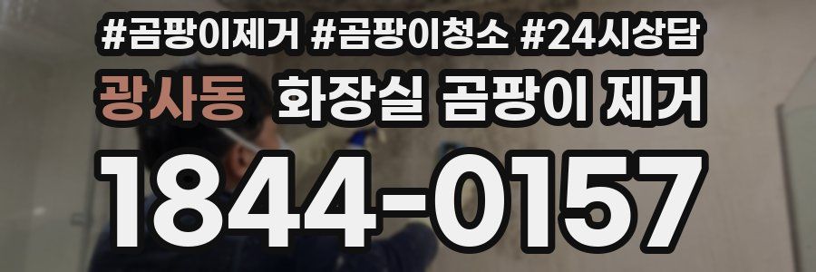 광사동 화장실 곰팡이 제거