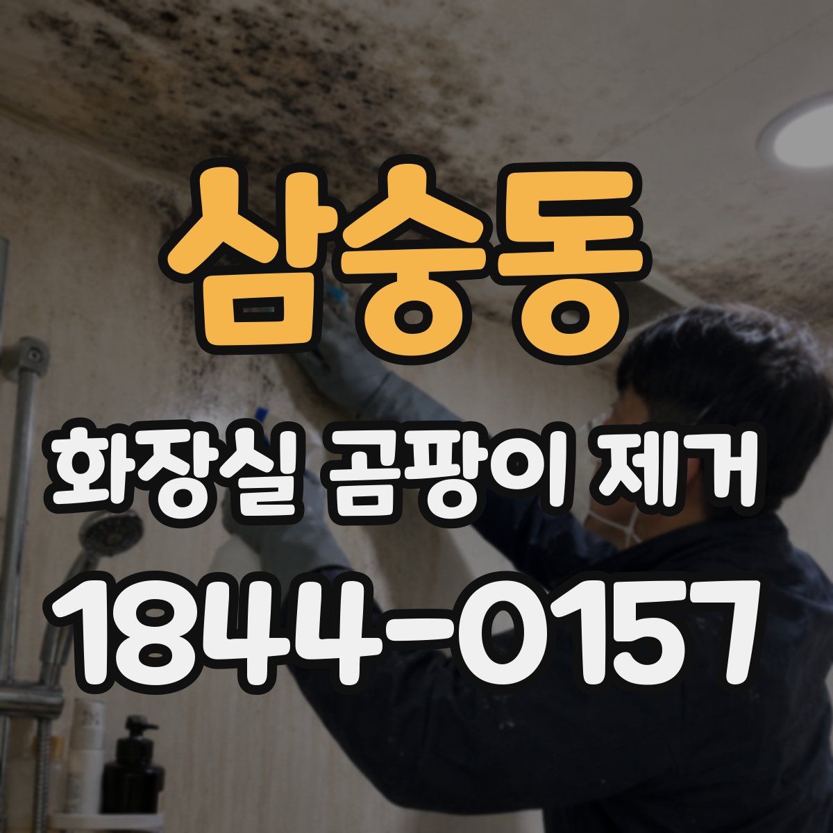 삼숭동 화장실 곰팡이 제거