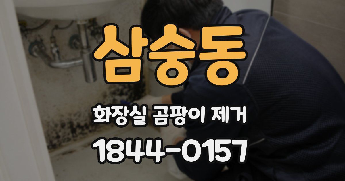 삼숭동 화장실 곰팡이 제거