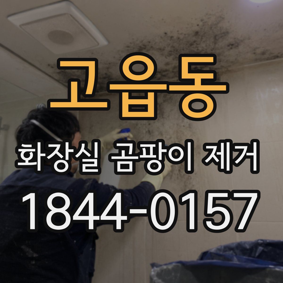 고읍동 화장실 곰팡이 제거